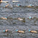 용인대 학사태권도클럽 이미지