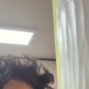 힐링워커스 이미지