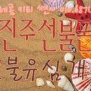 진주앤텔레콤알뜰폰 이미지