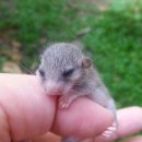 테라리움동물병원 이미지