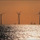 DK 태양광발전소 이미지