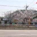 영월보쌈 이미지