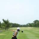 레이디폼 이미지