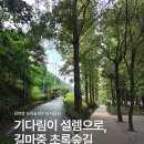 초록숲