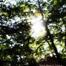 빛과 그림자 이미지