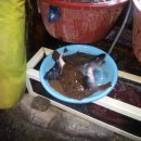 고래불국민야영장 이미지