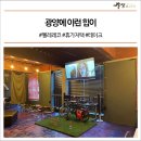 펠레레코