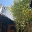 대나무테마정원 화장실 이미지