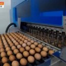 한솔유통