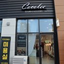 헤어코코리 이미지