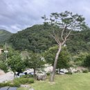스타펜션 | 내돈내산 양평 문앤스타펜션 후기, 주차장, 바베큐, 시설