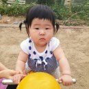 신나는놀이터 이미지