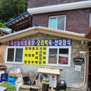 짱식당 - 진주시 | 강릉 산채정식짱 생수쉼터식당 솔직후기 기록 :)