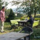 춤추는꽃동네 이미지