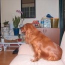 녹번-011 이미지