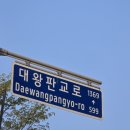 하루산책 | 26년도 벚꽃 시즌 공원 나들이 + 아이랑 야구 들으며 산책한 하루의 후기 🌸⚾