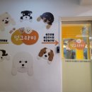 하이멍그라미 이미지