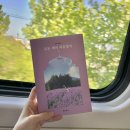 [서평] 모든 색이 치유였어 2 - 호림 컬러에세이