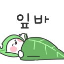 광산구-138 이미지