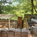 바이온택 이미지