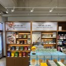 옵티마강남약국 이미지