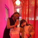 말똥도넛 이미지