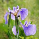 김포시 노인복지회관 이미지