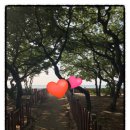 봉비치 펜션 이미지