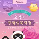 고래 동물병원 이미지