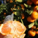 내산농장 이미지