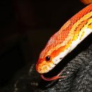 양서·파충류생태공원 1층 이미지