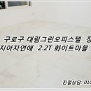 대림그린오피스텔 이미지