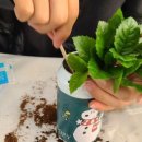 수원-0505 이미지