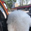 주인아 미용하고가 이미지