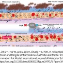 콘택트 렌즈 제거 후 점안해야 레바케이점안액 이미지