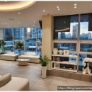 정직한동물의료센터 이미지