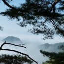 발산약수 이미지