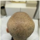 모모하우스 이미지