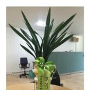 군포시자립생활센터 이미지