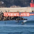 지에스25 38선휴게소점 이미지