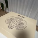 144 | 어그추천 플랫폼 어그 슬리퍼 DK144 후기