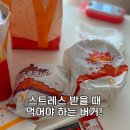 마라향기 | 맥도날드 마라버거 신메뉴 솔직후기,마라소스 호불호갈리겠네
