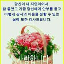 국물박사 이미지