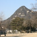 H8092 Daum카페