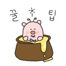 세온찜 이미지