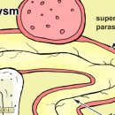 연세바른안과의원 이미지