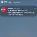 더봄동물병원 | 토하는 강아지 건강검진/ 원주[더봄동물의료센터] 대형견 검진후기/ 내돈내산/ 원주더봄동물병원