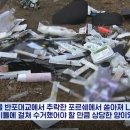 대교의료기 이미지