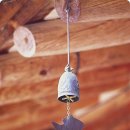 무교동 낙지생각 이미지