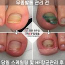 레푸스원주점